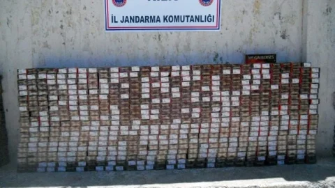 Sınırda 29 Bin 20 Paket Kaçak Sigara Yakalandı