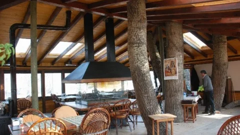 Ağaçları Kesmemek İçin Lokantanın Mimarisini Değiştirdi