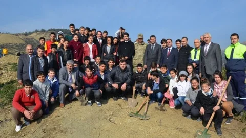 Yanan Orman Alanına Fidan Dikildi