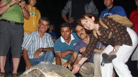 Caretta'lar İçin Geliyorlar