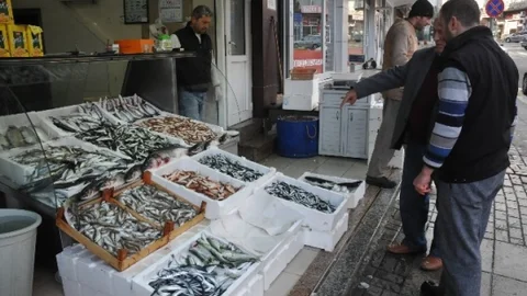 Balık Fiyatları Tavan Yaptı