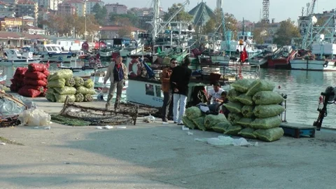 Batı Karadeniz'de Balıkçılar Dip Avcılığına Yöneldi