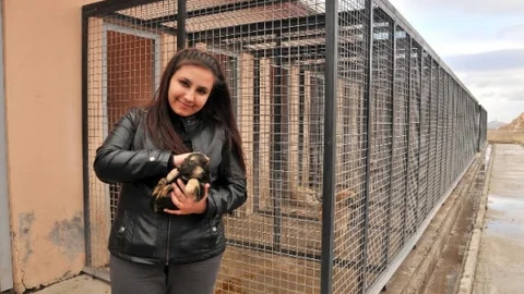 Mamak'ta 246 Sokak Hayvanı Sıcak Yuvaya Kavuştu