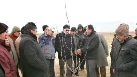 Karaman'da Meyve Yetiştiricilerine Budama Kursu Verildi