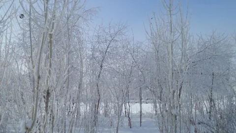 Varto'da Sibirya Soğukları