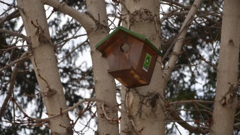 Ereğli'de Kuşlar Yeni Yuvalarına Kavuştu