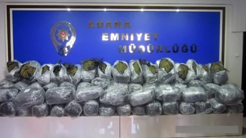 Narkotim Ekipleri 260 Kilogram Esrar Ele Geçirdi