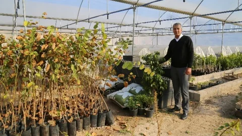 Mezitli Belediyesi'nin Yeni Fidanlığı Faaliyete Geçti