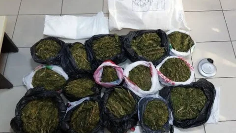 İzmir'de 14 Kilo Esrar Ele Geçirildi