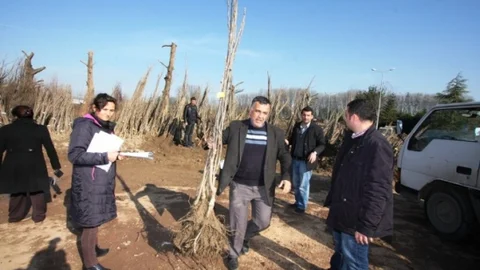 Büyükşehir'den Çiftçilere 16 Bin Meyve Fidanı