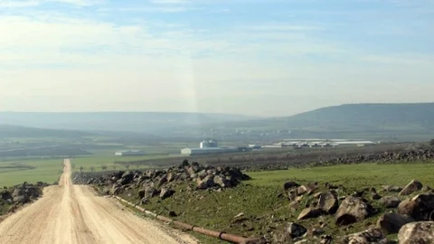 Deredeki Balıklar Ölüyor