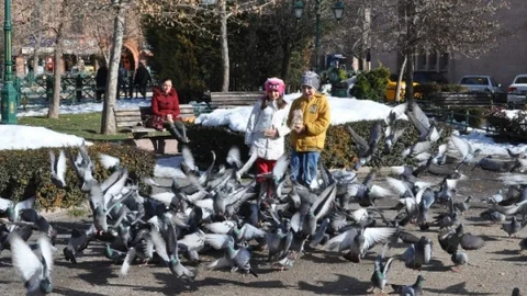 Eskişehirliler Güneşli Havanın Tadını Çıkarttı