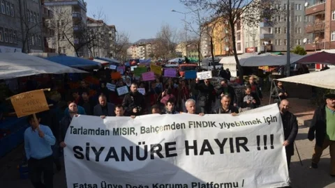 Fatsa'da Siyanüre Karşı Eylem Yapıldı