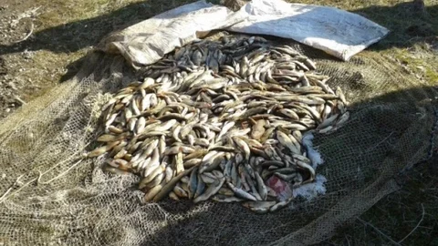 Kaçak Avlanan Balıkçılar Jandarmaya Yakalandı