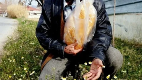 Ocak Ayında Papatyalar Açtı