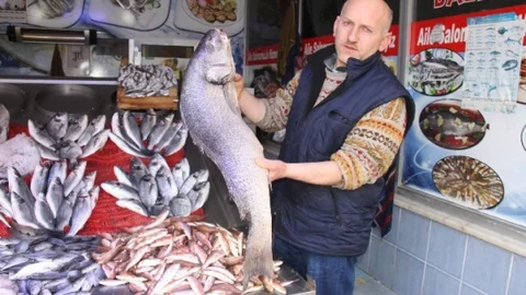 Samsun'da Balık Fiyatları