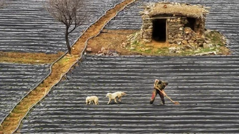 Fotoğraf Sanatçısı Konyalı'dan Bir Başarı Daha
