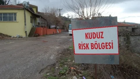 Çanakkale'de Kuduz Karantinası