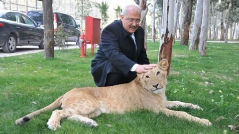 Tarsus Hayvanat Bahçesi'ne Yoğun İlgi