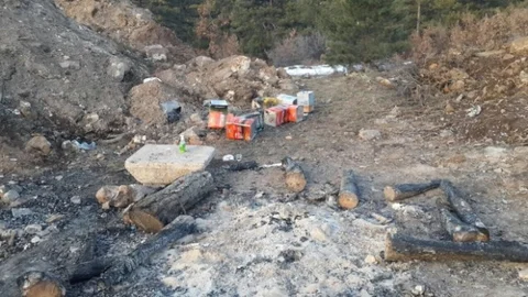 Seyitgazi'de İzinsiz Kazı Yapan 8 Kişi Yakalandı