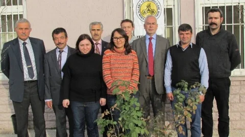 Arıcılar Bal Ve Arı Hırsızlığının Organize Suç Olarak Değerlendirilmesini İstiyor