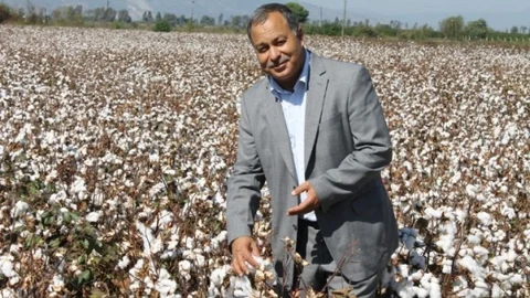 Kocabaş; ''Yüsek Maliyet Çiftçiyi Pamuktan Uzaklaştırıyor''
