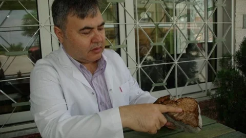 Herbalist Güngör Mantarları Mercek Altına Aldı