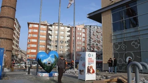 Sokak Hayvanları İçin Geliştirilen Mama Kutusu Güneş Enerjisi İle Çalışacak