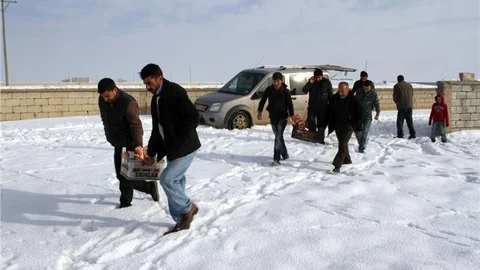 Köye inmesinler diye yaban hayvanlarını besliyorlar