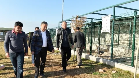 Muratpaşa Belediyesi Tesisleri Verimli Hale Getiriliyor