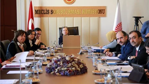 Kadına Yönelik Şiddeti Araştırma Komisyonu