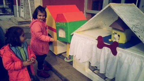 Öğrenciler Hayvan Dostlarını Unutmadı