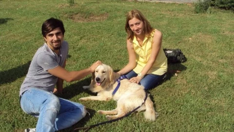 Konyaaltı'nda 52 Sokak Hayvanı Sıcak Yuvaya Kavuştu