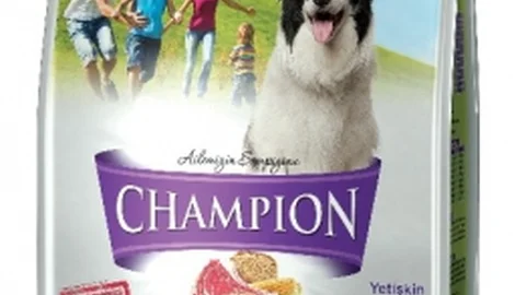 Champıon Mama Köpeklerin Besin İhtiyacını Karşılıyor