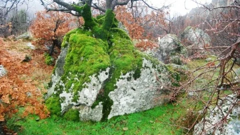 İHA'nın Haberi SES Getirdi