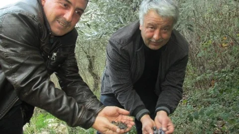 Aydın'ın Köylerinde Muhtarlar ‘Züğürt Ağa' Dönemi Yaşamaya Başladı