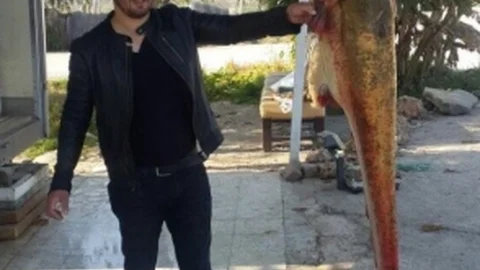 Seyhan Baraj Gölü'nden 2 Metrelik Balık Çıktı