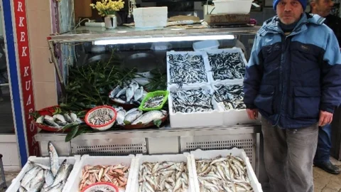 Ordu'da Balık Cep Yakıyor