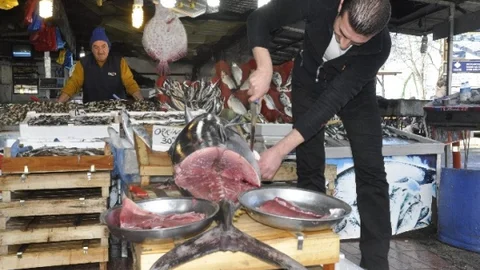 40 Kiloluk Orkinos Gram Gram Satılıyor