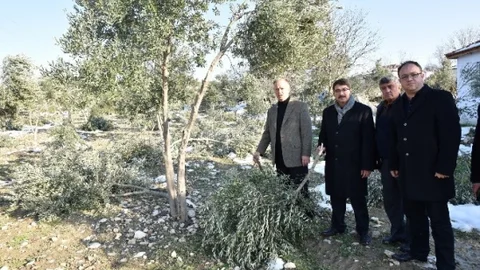 Şehzadeler'den Çiftçilere Müjdeli Haber