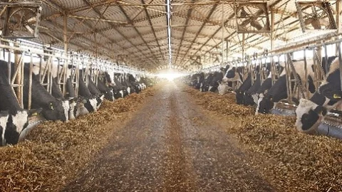 Sütaş 5 Yılda İki Kat Büyüdü