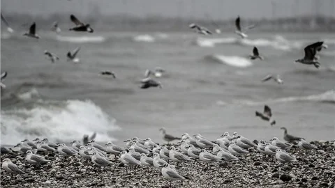 İstanbul'da sağanak yağış