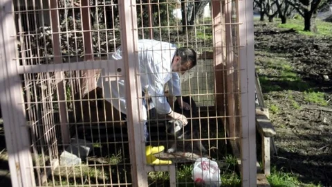 Yalova'da Kuduz Paniği