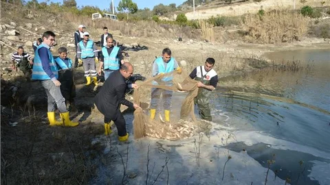 Adana'da kanalda mahsur kalan balıklar kurtarıldı