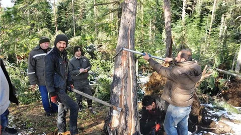 Kastamonu'daki fırtına