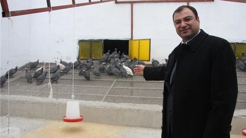 Köylülere ''kene timi'' dağıtılacak