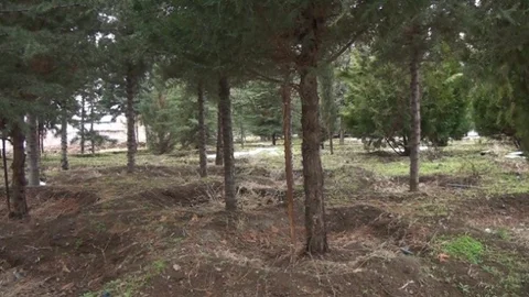 Yazıkonak Beldesi'nde Doğa Ve Çevre Koruma Derneği Kuruldu