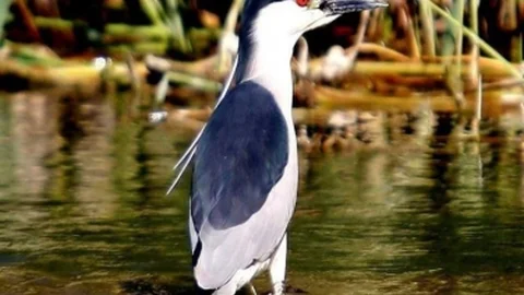 Sulak Alanlar El Birliği İle Korunmalı