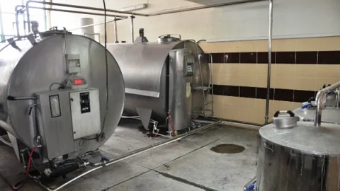 Zile'de 33 Köyden Günlük 5 Ton Süt Toplanıyor