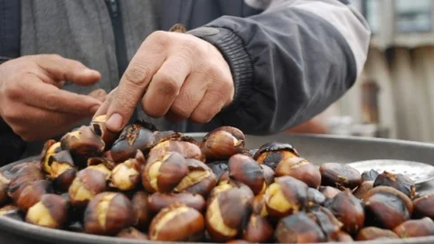 Et Fiyatına Kestane